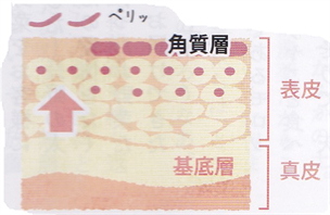 %e7%84%a1%e9%a1%8c_r